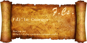 Füle Csongor névjegykártya