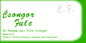 csongor fule business card